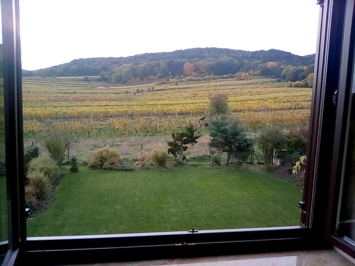 Top Over Vienna, Perchtoldsdorf Weinberge Ideal With Car Exterior foto