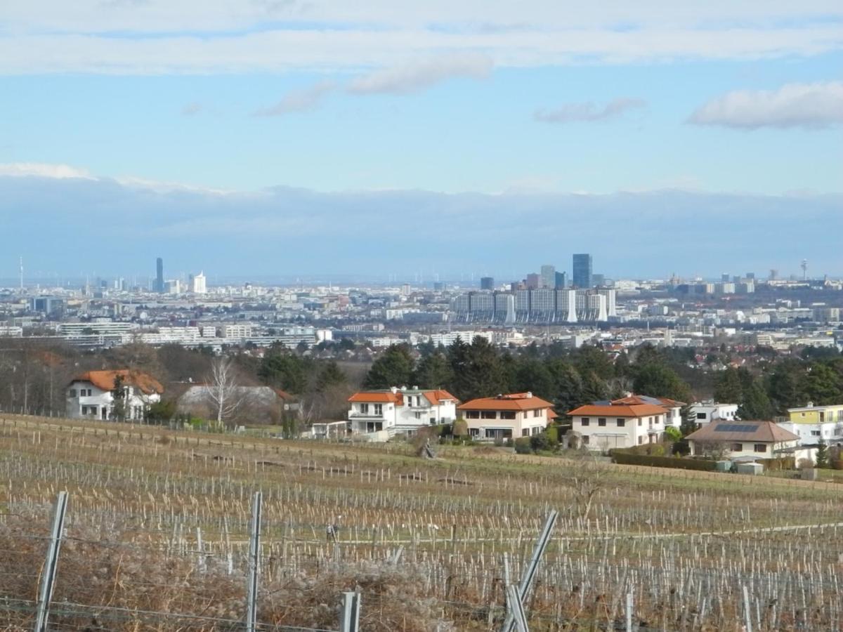 Top Over Vienna, Perchtoldsdorf Weinberge Ideal With Car Exterior foto