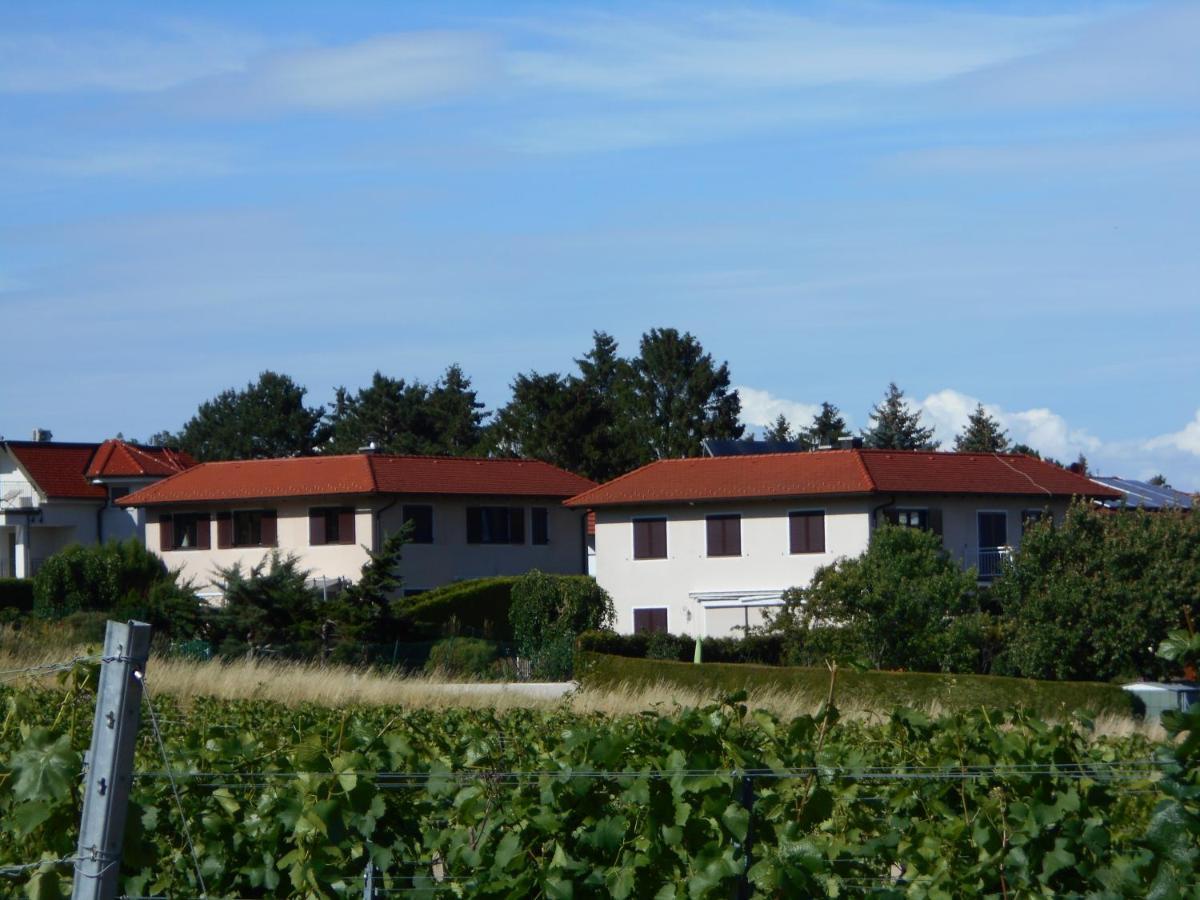 Top Over Vienna, Perchtoldsdorf Weinberge Ideal With Car Exterior foto